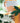 Dinosaur party theme colourful serving dishes in different sizes with dinosaur and palm tree shapes.