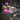 Balloon bouquets