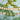 A Safari-themed "Happy Birthday" party banner for children's birthday parties.
