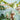 Safari-themed party decorations and tableware for kids in a beautiful green color scheme